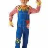 Bristol Novelty Mr Scarecrow -Wigs Shop 620507 scaled 1