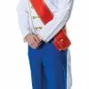 Bristol Novelty Prince Charming -Wigs Shop AC984 scaled 1