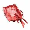 Bristol Novelty Red Tinsel Curtain -Wigs Shop PG001D